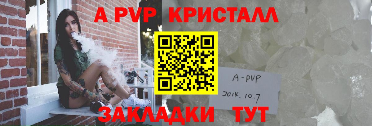 A-PVP СК КРИС Сальск