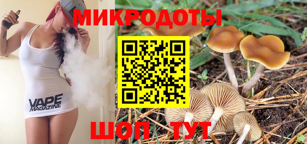 Псилоцибиновые грибы MAGIC MUSHROOMS  Вход с VPN  Сальск 