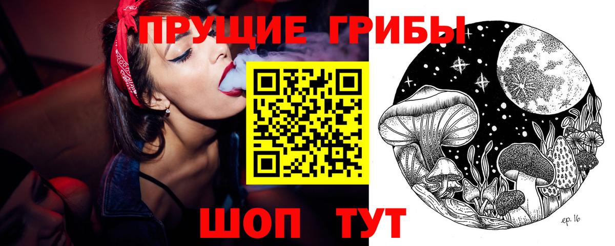Галлюциногенные грибы Psilocybe Сальск