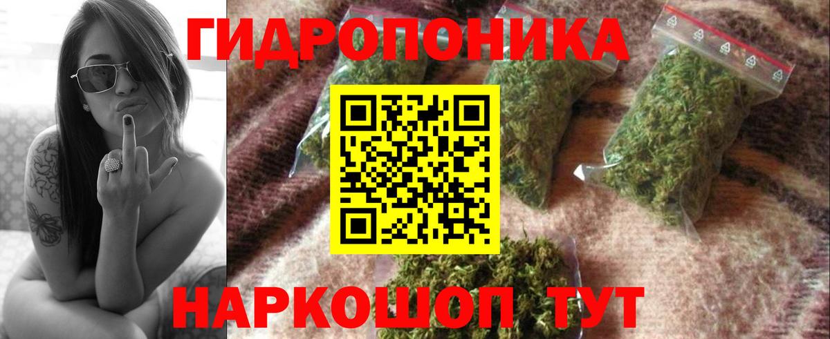 Каннабис LSD WEED  Шишки марихуана марихуана  Сальск  Вход с VPN  Шишки марихуана конопля 
